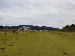 park_golf