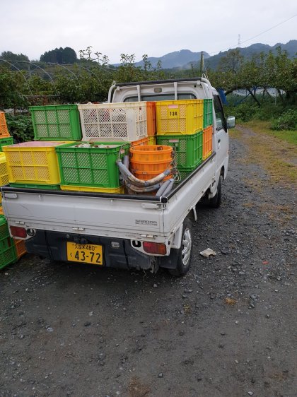 pear_truckload